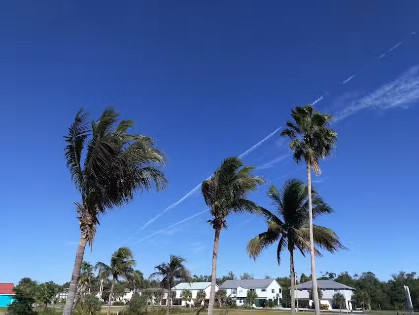 Everglades Adventures Kayak & Eco Tours