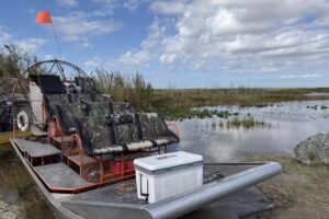Everglades Airboat Expeditions