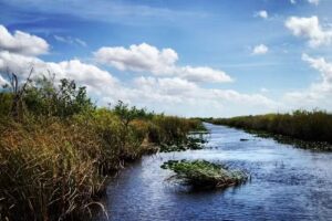 Everglades National Park