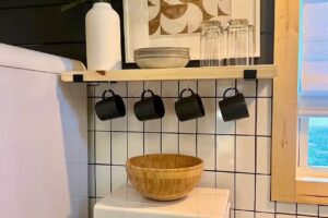 Evergreen Tiny Cabin