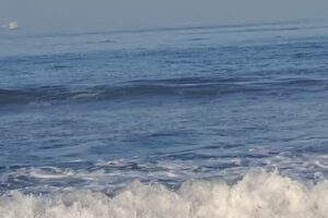 Everyday California Huntington Beach