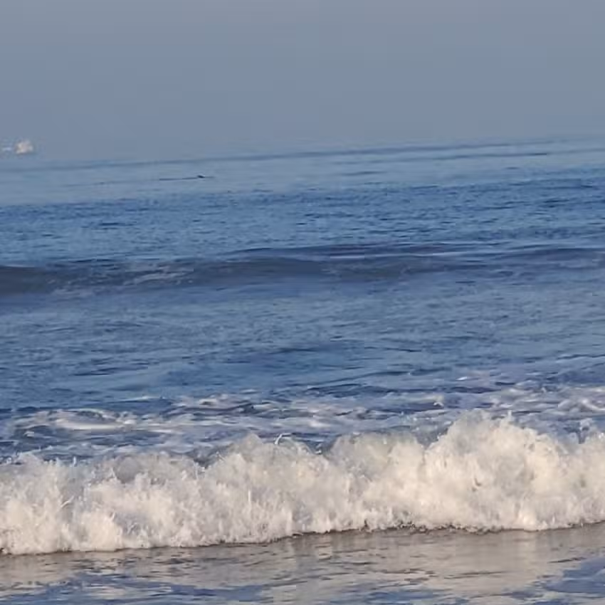 Everyday California Huntington Beach