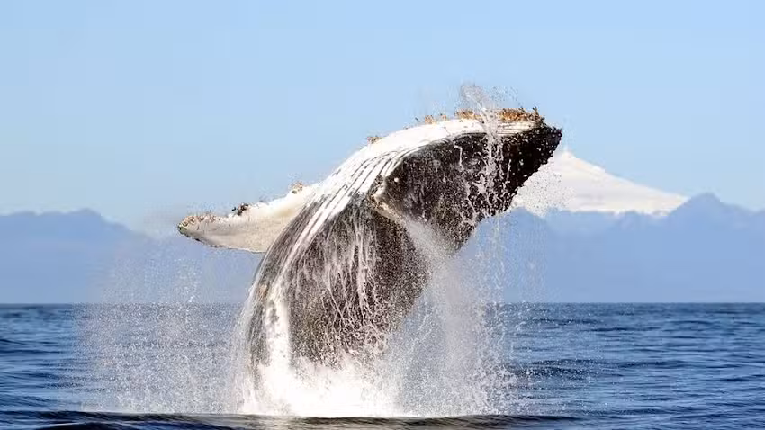 EvolutionTravels.reginacruisetime