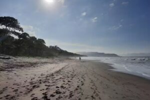 Excursion Travel LLC