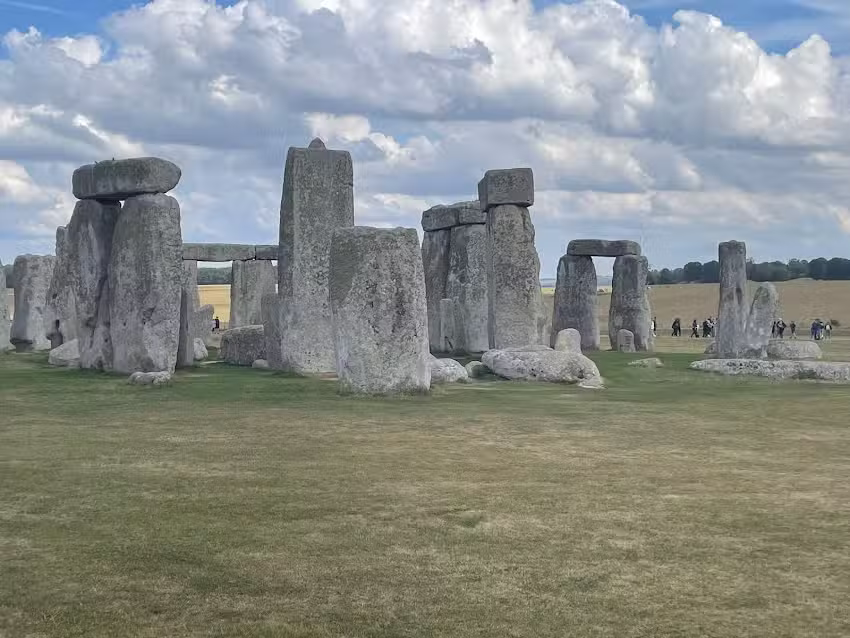 Expedia Cruises in Bay Shore