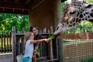 Experience Sioux Falls