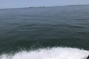 Experience Smith Island