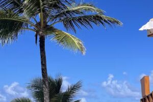 Explore And Exhale Travel