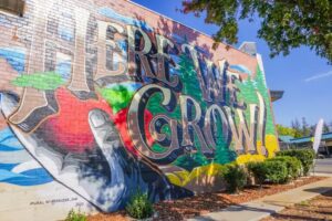 Explore Butte County