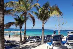 Explore Through Travel