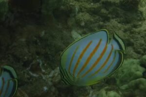 Exquisite Travel Agency