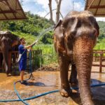 Extraordinary Adventures Cruise Agency