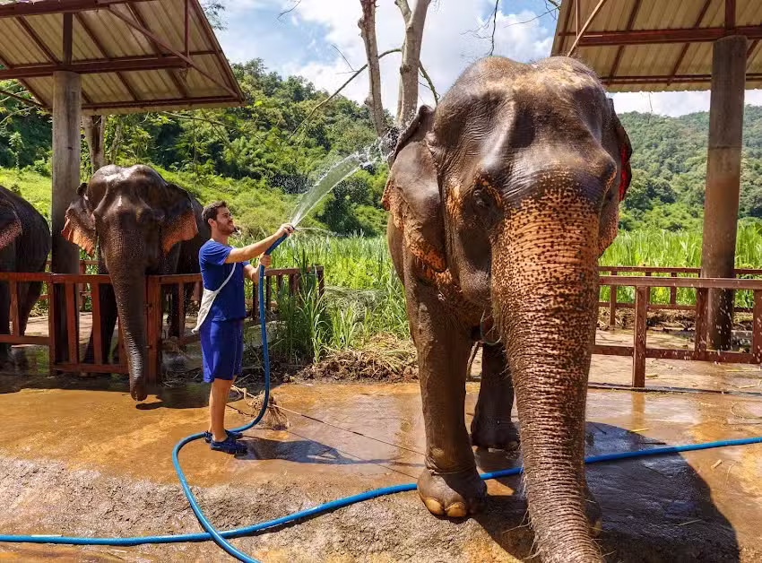 Extraordinary Adventures Cruise Agency