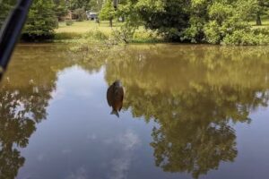 False River Hideaway