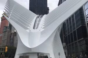 Family in New York Sightseeing Tours