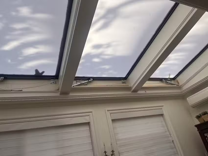 Family Travel Agency Brooklyn