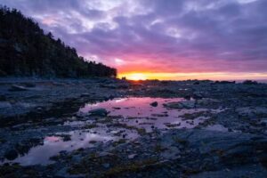 Family Travel Santa Clara