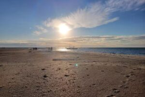 Family Water Adventures