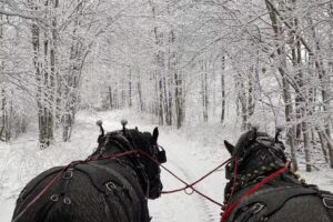 Fantail Farm Wagon & Sleigh Rides