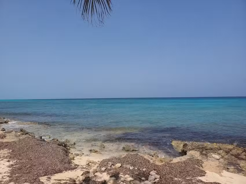 Fantasy Travels by Shontavia