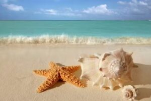 Faye’s Unique Sun & Travel