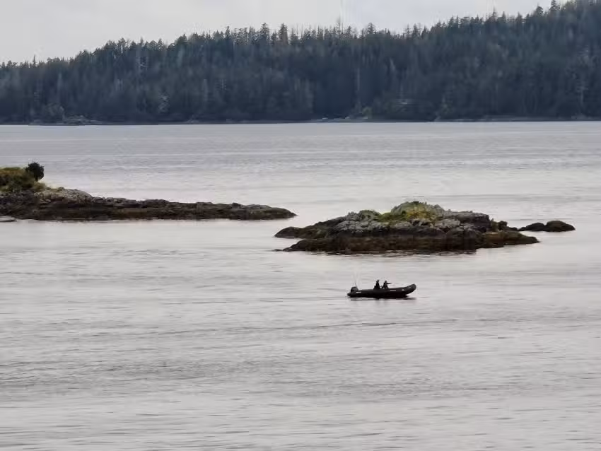 Ferguson’s Travel & Cruise