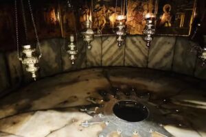 Fiesta Travel & Tours