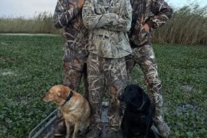 Fin & Feather Cabins