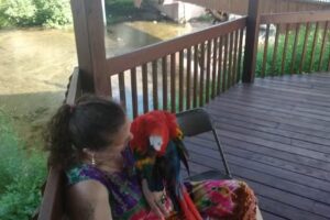 Findley Lake Visitor&rsquo;s Center