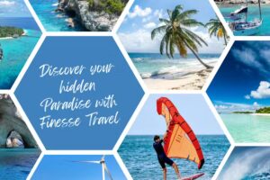 Finesse Travel and Adventures LLC