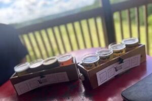 Finger Lakes Wine Rack Tours