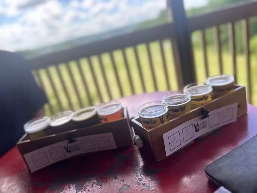 Finger Lakes Wine Rack Tours