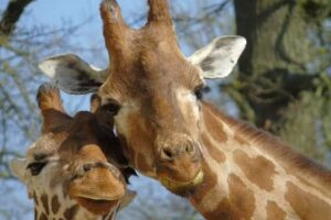 Fingertip Travel Agency