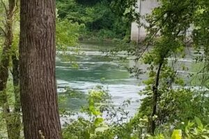 Firefly Cabins at Winkley Shoals