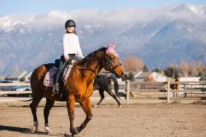 Firefly Horse Co Wellness Retreat Center