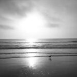 First Choice Florida Vacation Rentals