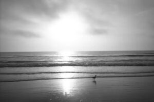 First Choice Florida Vacation Rentals