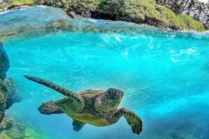 First Class Service Travel