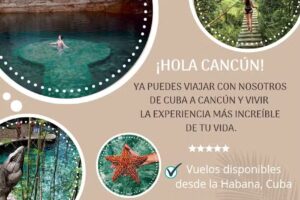 First Class Travel Agency