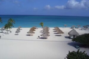 First Discount Travel