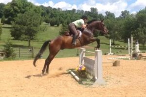 First Flight Farm LLC