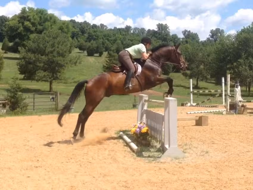 First Flight Farm LLC