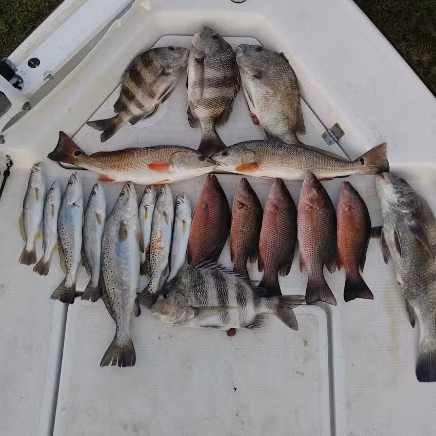 Fish Commander Cabins