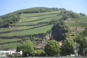 Fitzgerald Travel ~ Rivers, Oceans & Beyond