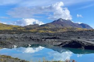 Five Star Travel Group