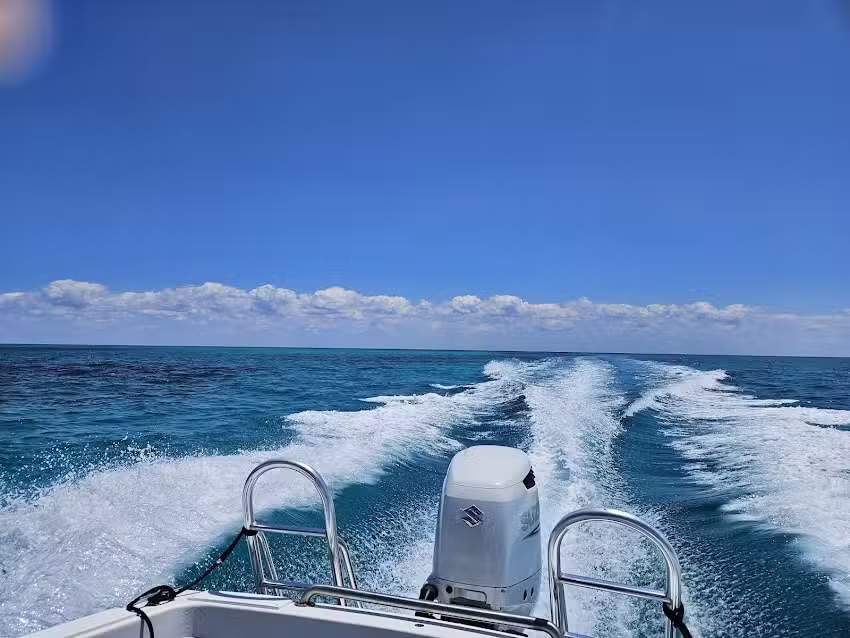 FL Keys Unique Diving