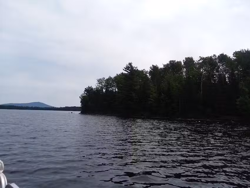 Flagstaff Scenic Boat Tours