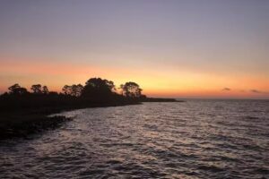 Flaneur, The Vacation Rental Company