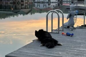 Flat Hollow Marina & Resort