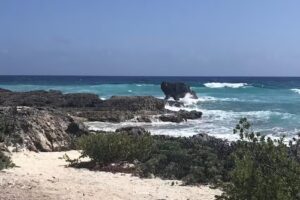 Flathead Travel Service Inc